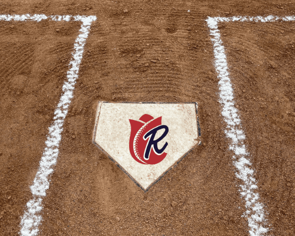 Baseball Bat on the grass with room for copy